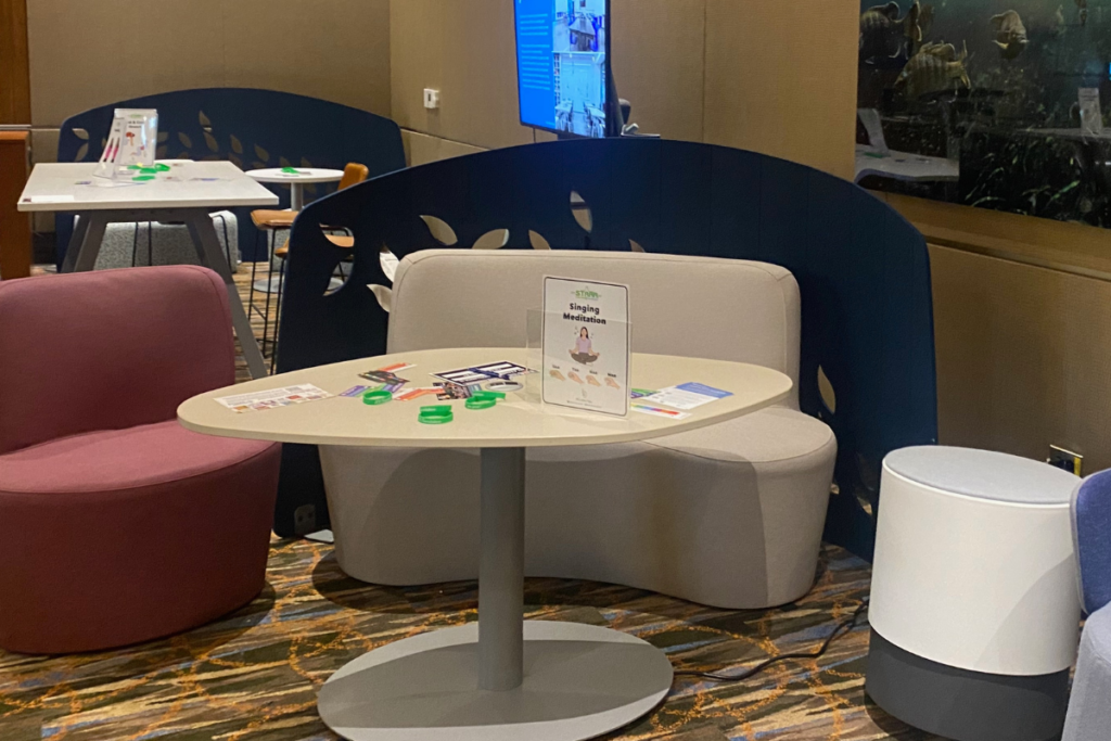 STARR Gym for the Brain Stations